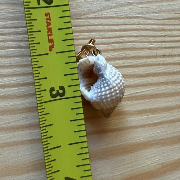 Seashell Pendant Charm With Gold-Tone Clip - Picture 3 of 3